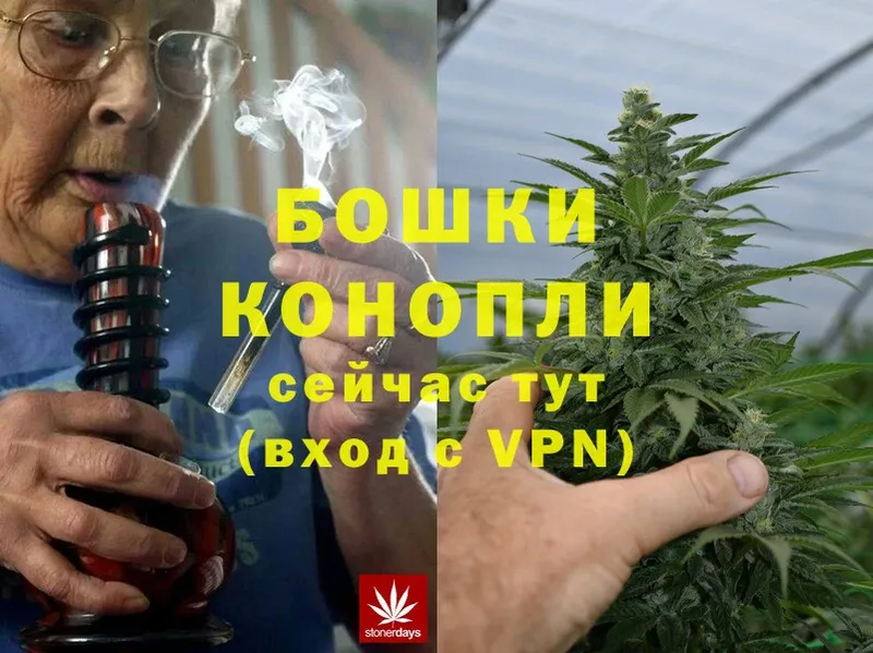 Бошки марихуана THC 21%  МЕГА   Кодинск 